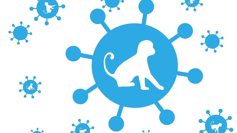 Ilustrasi artikel: HATI-HATI DENGAN ANCAMAN MERS-COV tentang Opini