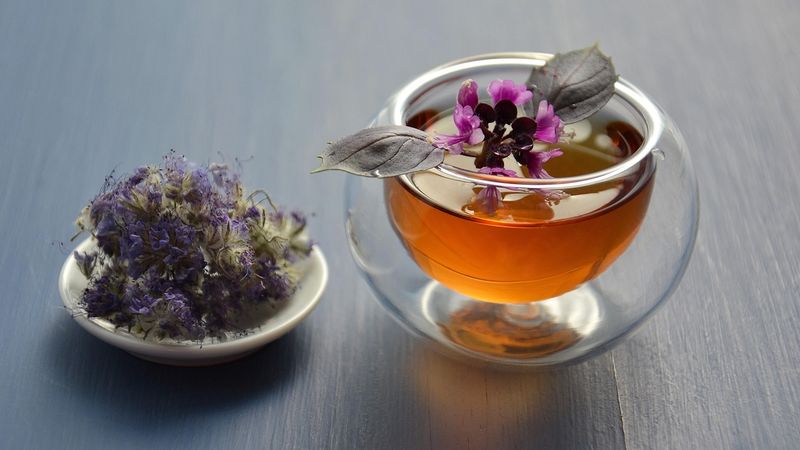 Ilustrasi artikel: Tips aman menggunakan obat herbal tentang Opini