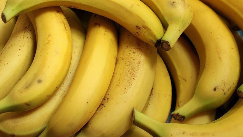 Ilustrasi artikel: Kenangan pada Sesisir Pisang tentang cerpen