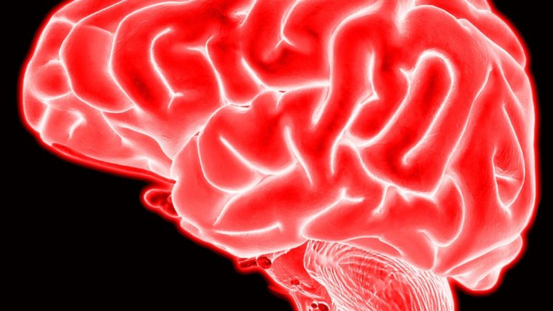 Ilustrasi artikel: Memahami Cerebral Palsy tentang Isu Disabilitas
