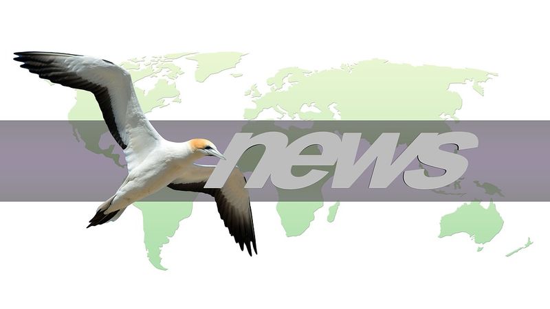 Ilustrasi artikel: Cara Mudah Update Blog via Email tentang SEO